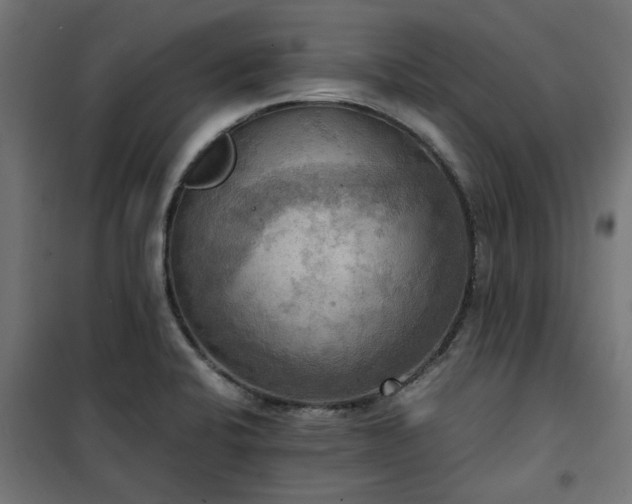 X0000100481424200806201619