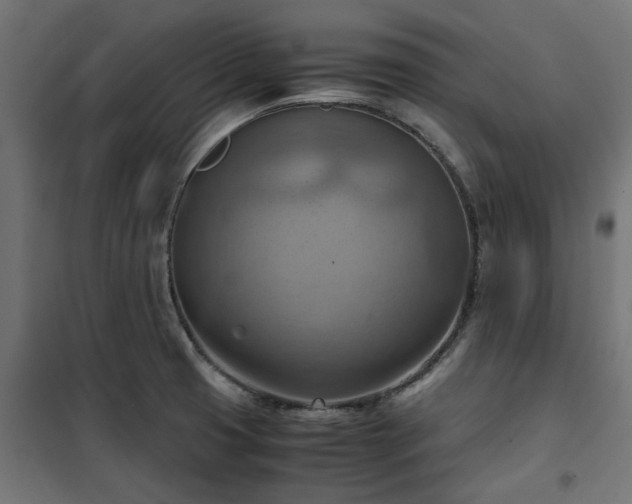 X0000100481425200806201619
