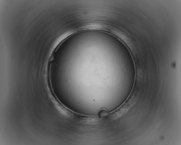 X0000100481426200806201619