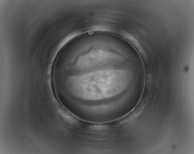X0000100481427200806201619