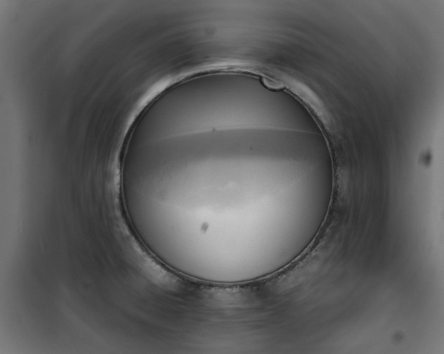 X0000100481428200806201619