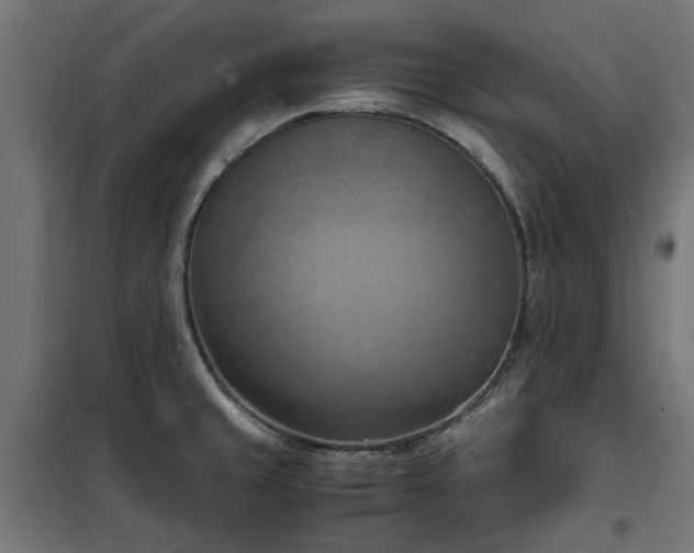 X0000100481429200806201619