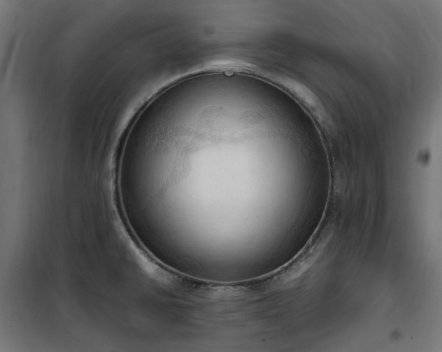 X0000100481430200806201619