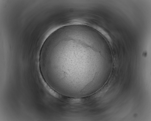 X0000100481431200806201619
