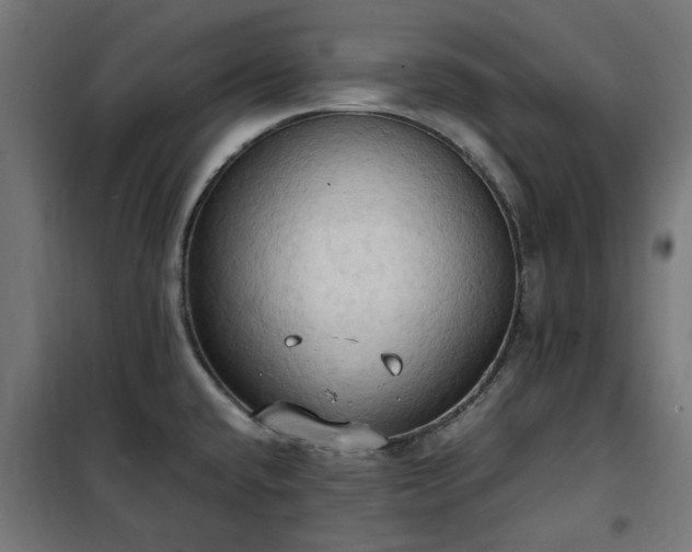 X0000100481432200806201619