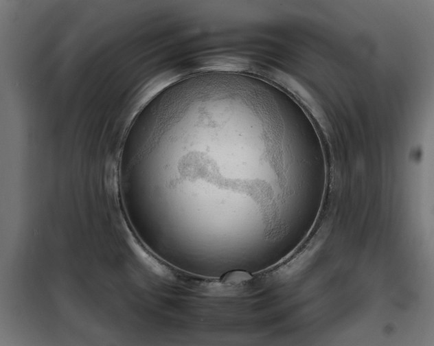 X0000100481433200806201619