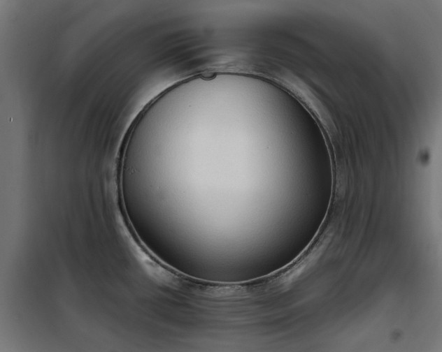 X0000100481434200806201619