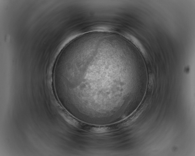 X0000100481435200806201619