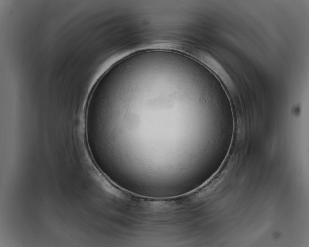 X0000100481436200806201619