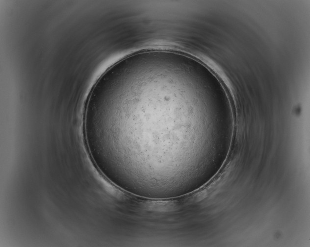 X0000100481437200806201619