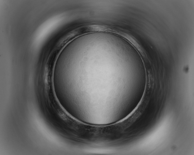 X0000100481438200806201619