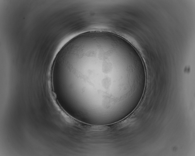 X0000100481440200806201619