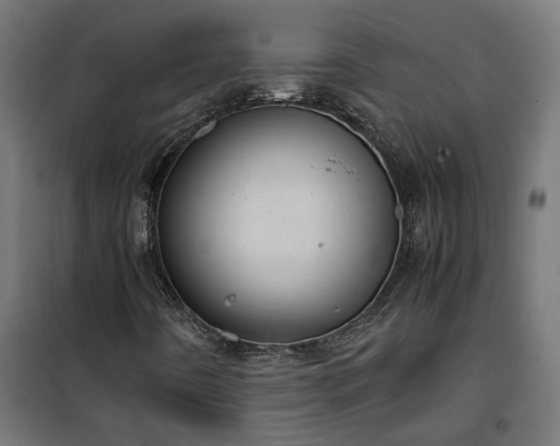 X0000100481442200806201618