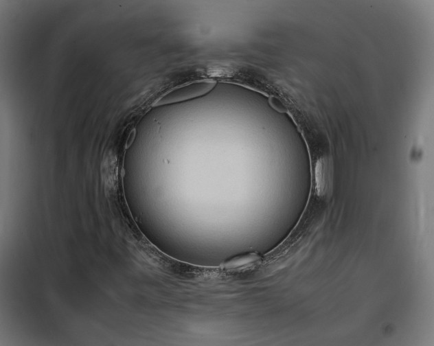 X0000100481443200806201618