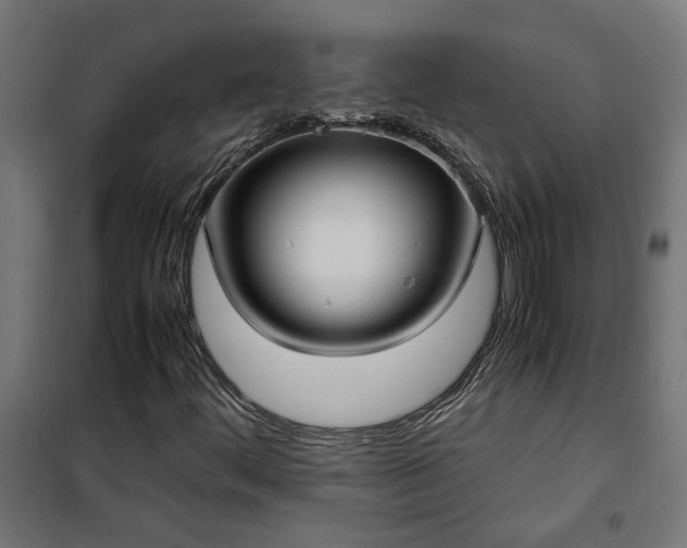 X0000100481444200806201618