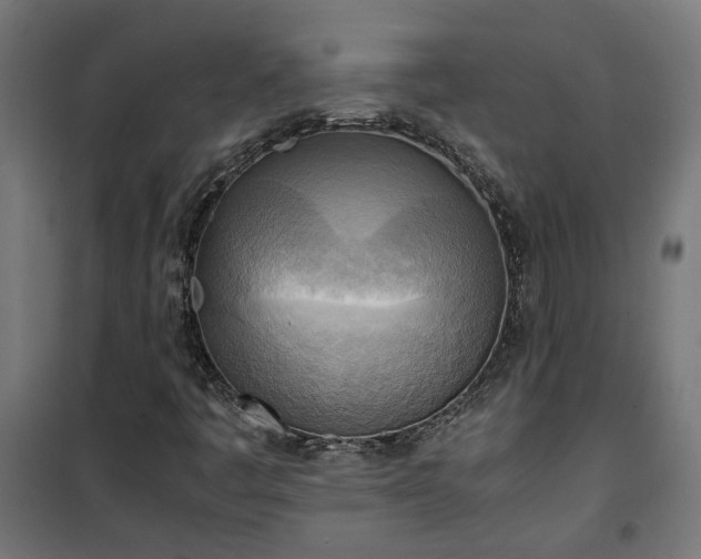 X0000100481445200806201618