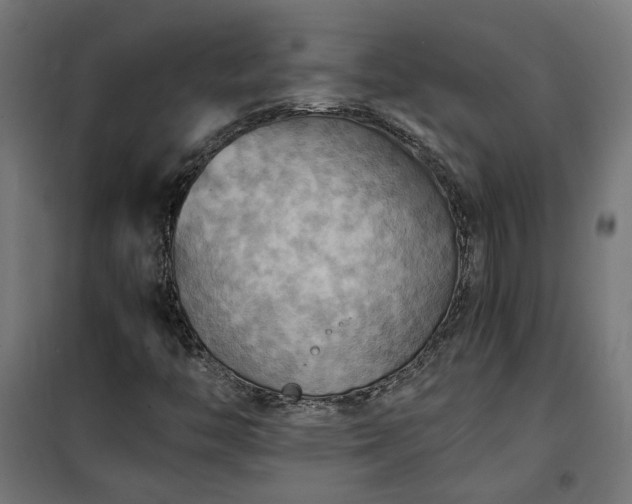 X0000100481446200806201618