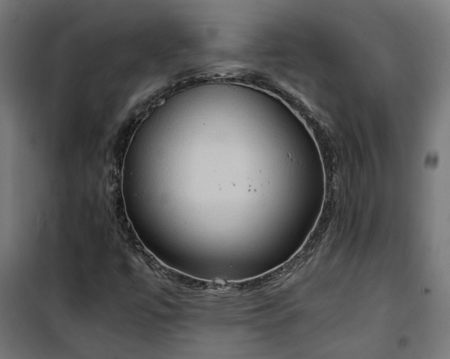 X0000100481447200806201618