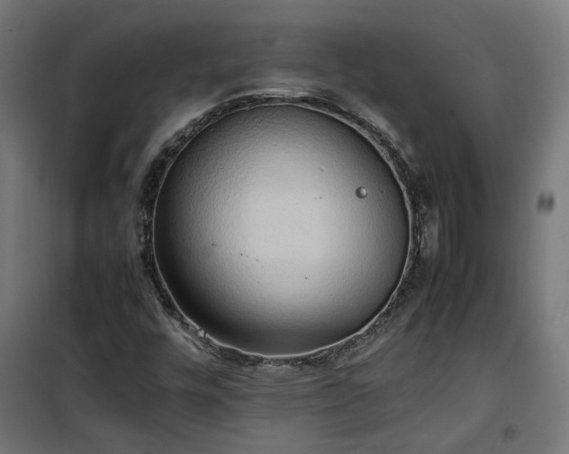 X0000100481448200806201618