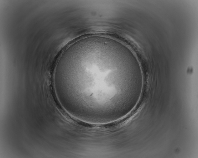X0000100481449200806201618