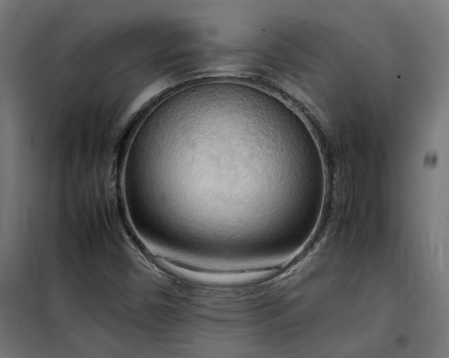 X0000100481450200806201618