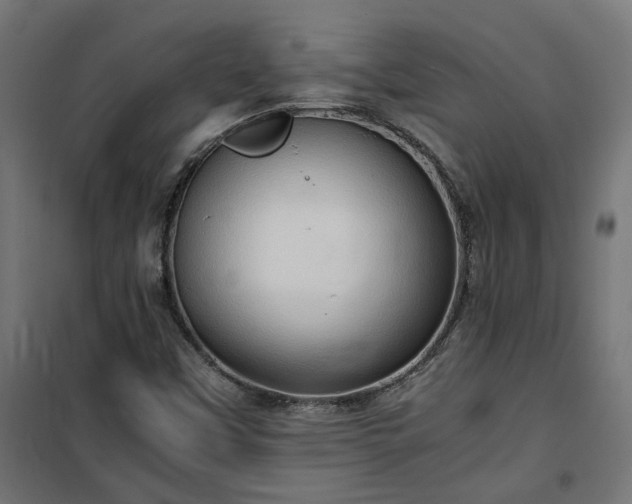X0000100481451200806201618