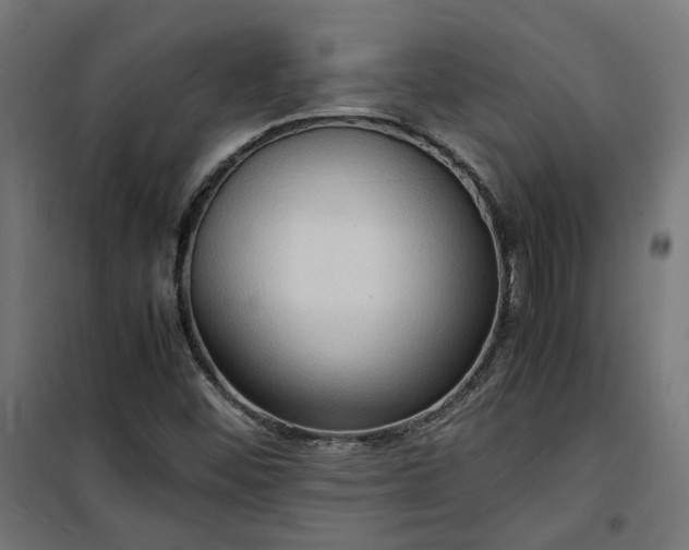 X0000100481452200806201618
