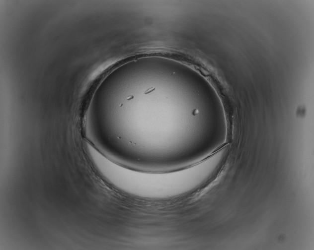 X0000100481453200806201618