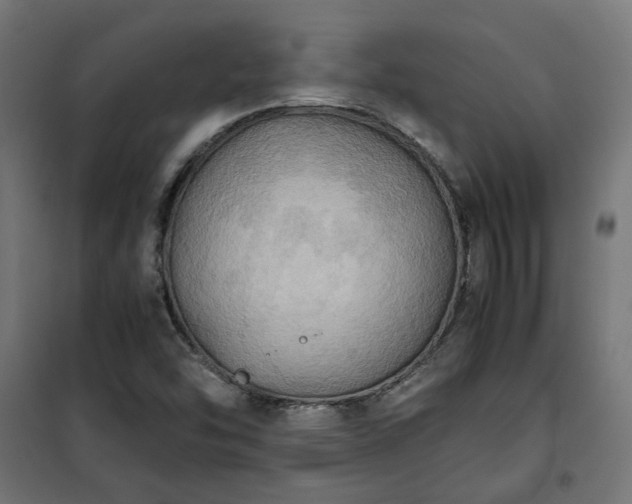 X0000100481454200806201618