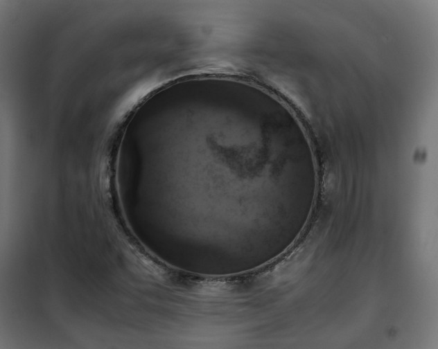 X0000100481455200806201618