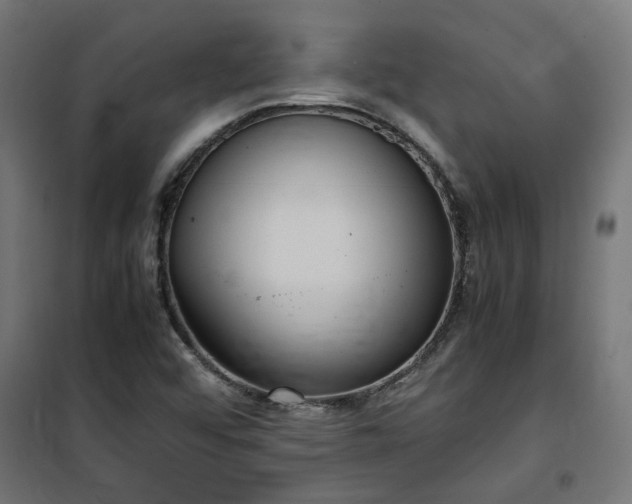 X0000100481456200806201618