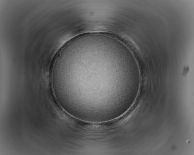 X0000100481457200806201618