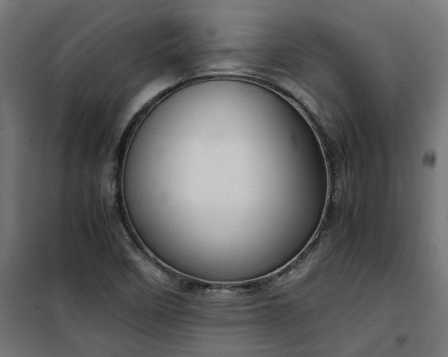 X0000100481458200806201618