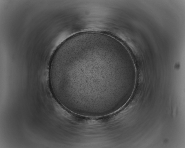 X0000100481459200806201618