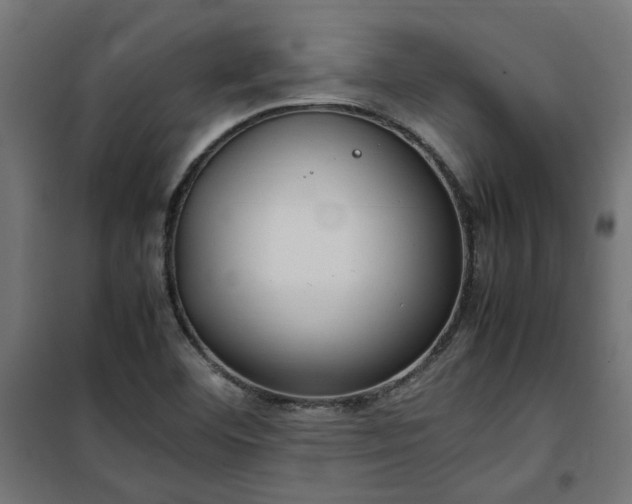 X0000100481460200806201618
