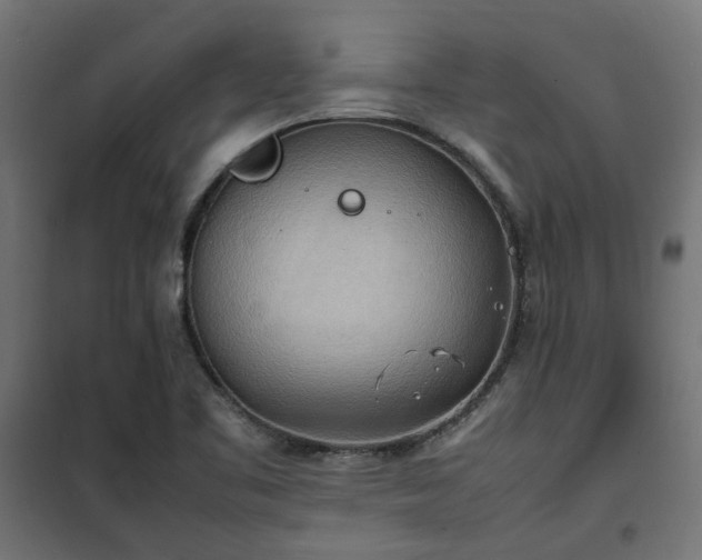 X0000100481461200806201618
