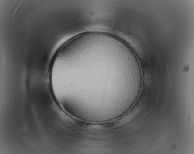 X0000100481462200806201618