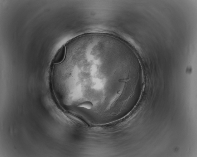 X0000100481463200806201618