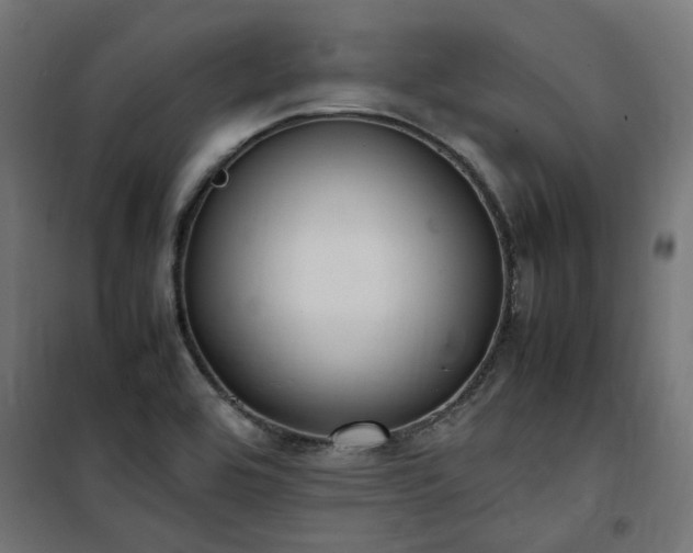 X0000100481464200806201618