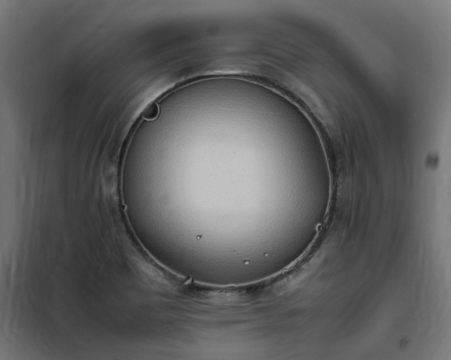 X0000100481465200806201618