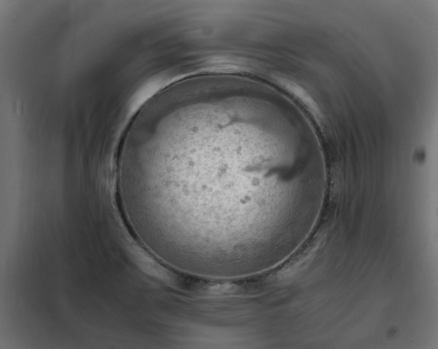 X0000100481467200806201618