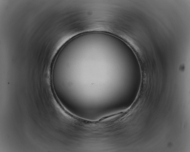 X0000100481468200806201618