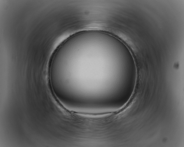 X0000100481469200806201618