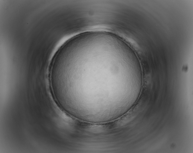 X0000100481470200806201618