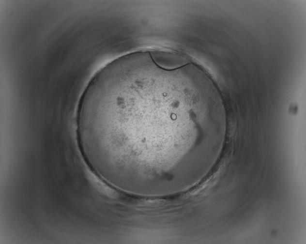 X0000100481471200806201618