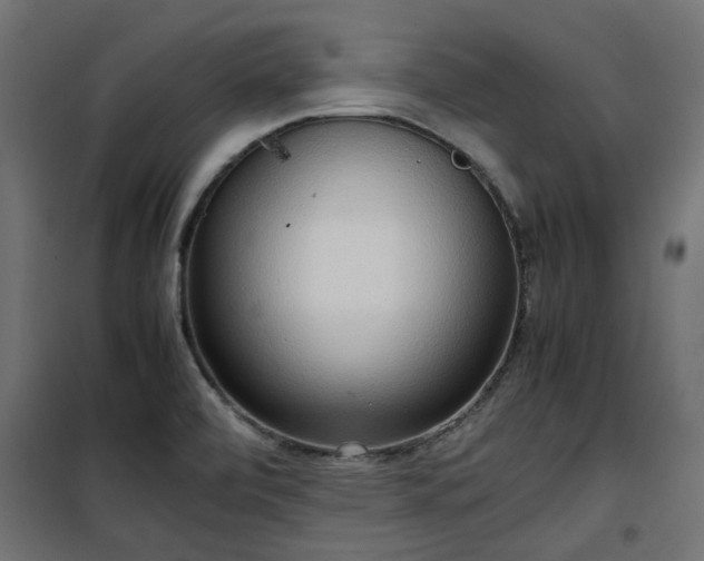 X0000100481472200806201618