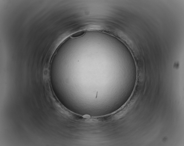 X0000100481473200806201618