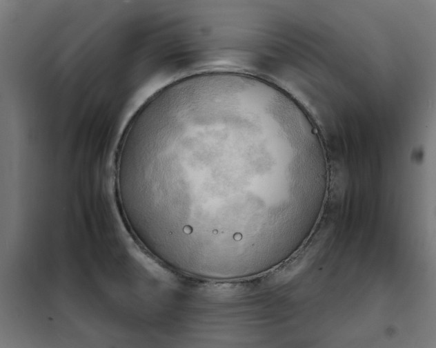 X0000100481474200806201618