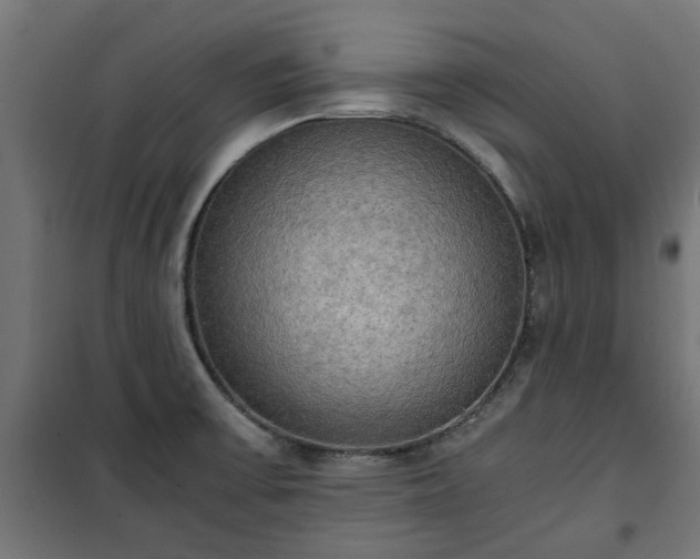 X0000100481475200806201618