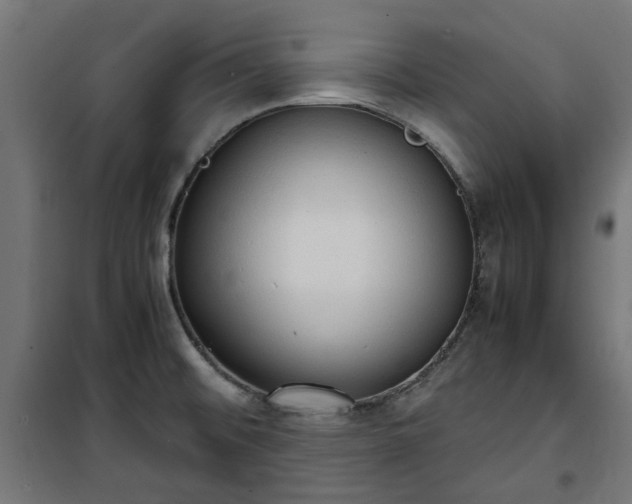 X0000100481476200806201618